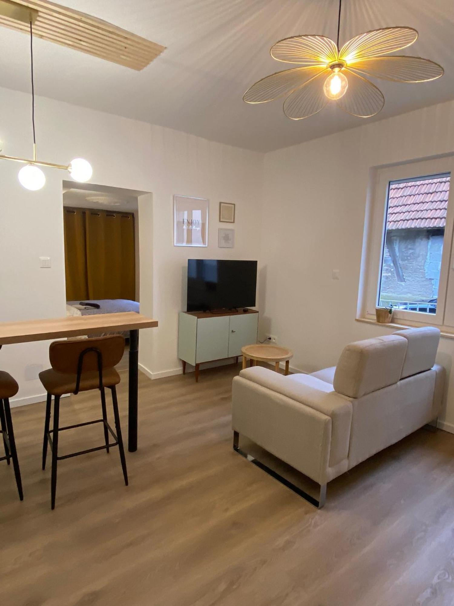 Appartement Cosy Soufflenheim Exteriér fotografie